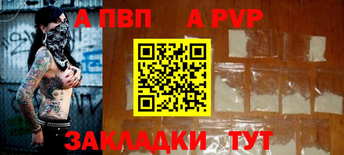 Альфа ПВП СК Ачхой-Мартан