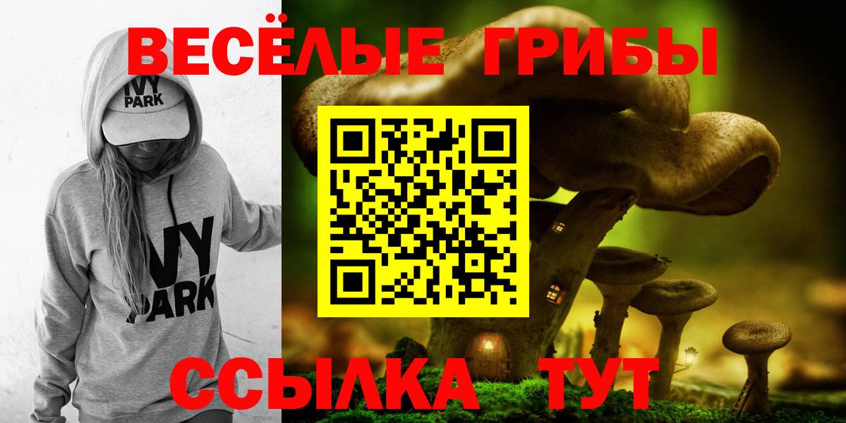 Галлюциногенные грибы Cubensis Ачхой-Мартан