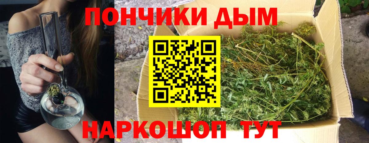 Бошки марихуана конопля Ачхой-Мартан